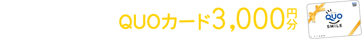 来場予約特典はQUOカード3,000円分