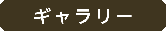 ギャラリー